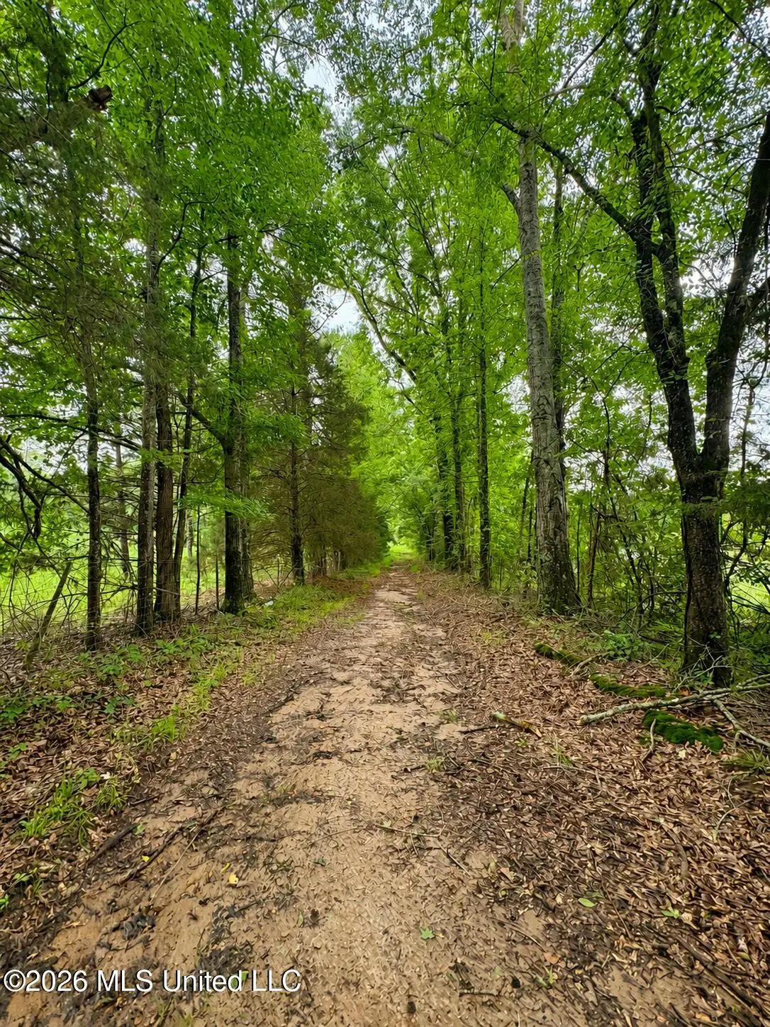 13610 Lebanon Pinegrove Road, Terry, MS 39170 - #1