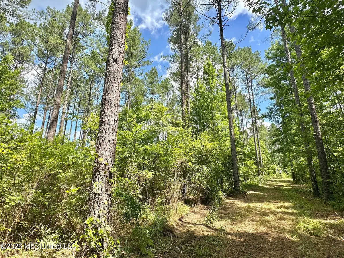 Hwy 43 Highway, Kosciusko, MS 39090 - #1