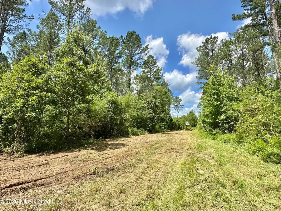 Hwy 43 Highway, Kosciusko, MS 39090 - #3