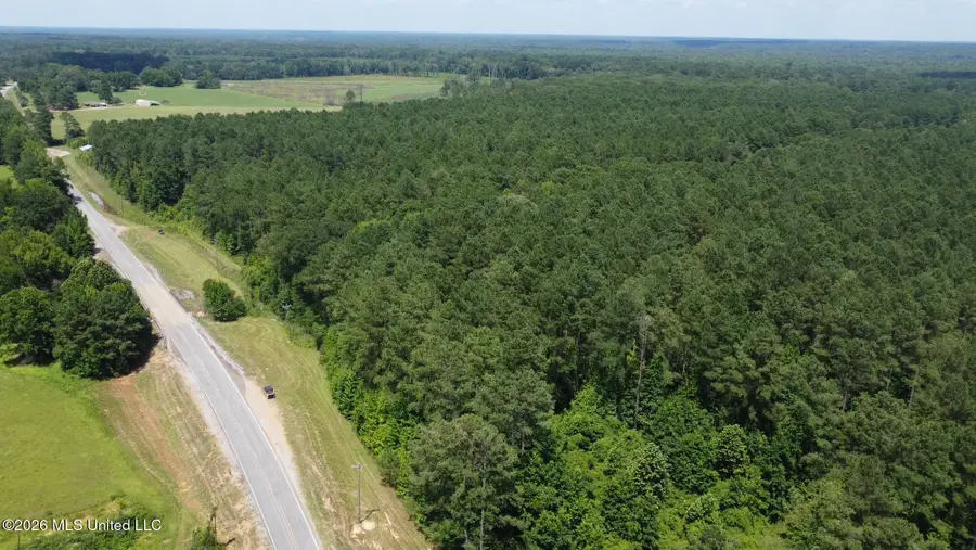 Hwy 43 Highway, Kosciusko, MS 39090 - #3