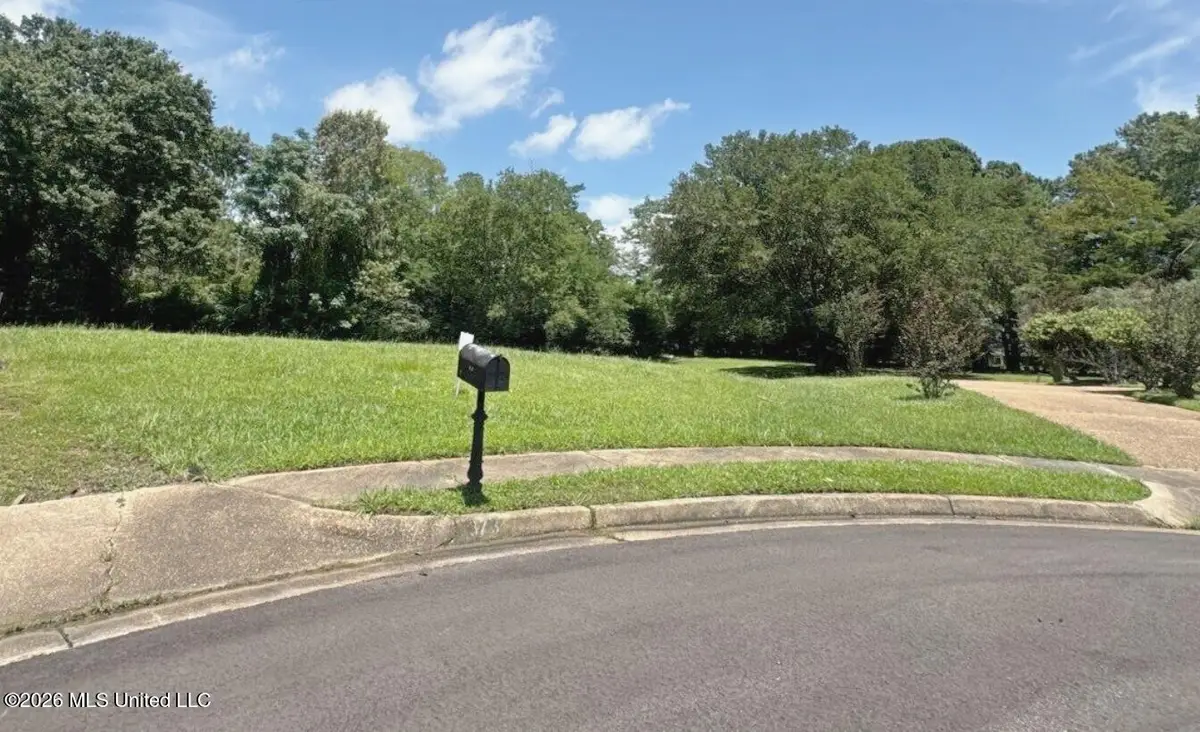 373 Red Eagle Circle, Ridgeland, MS 39157 - #1