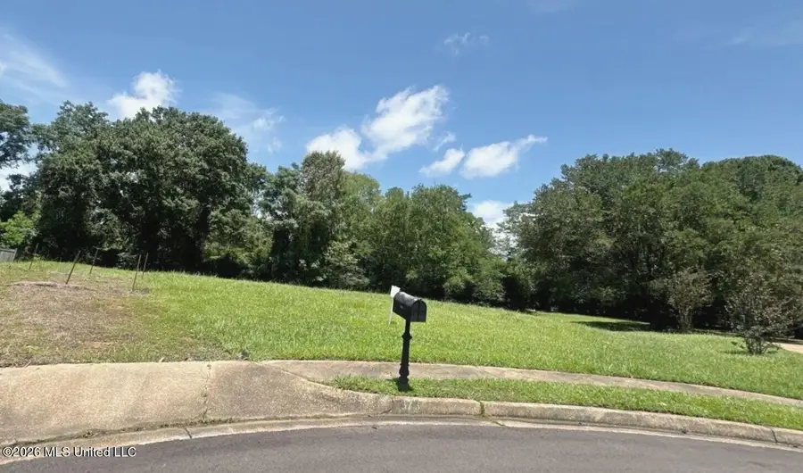 373 Red Eagle Circle, Ridgeland, MS 39157 - #2
