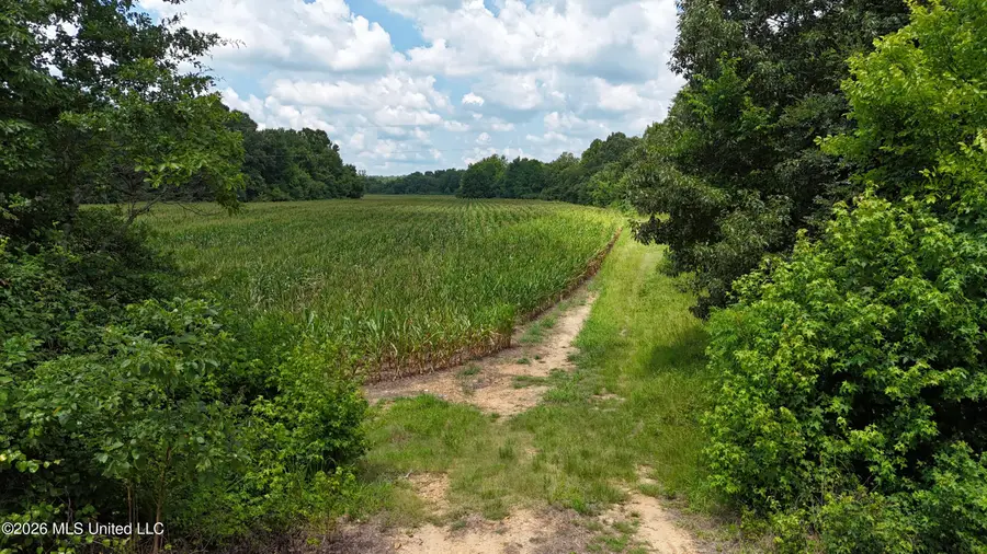 Barr Road, Coldwater, MS 38618 - #3