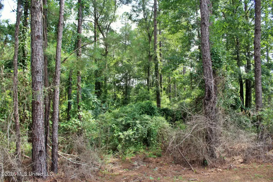 3.9ac Little Bluff Drive, Vancleave, MS 39565 - #2