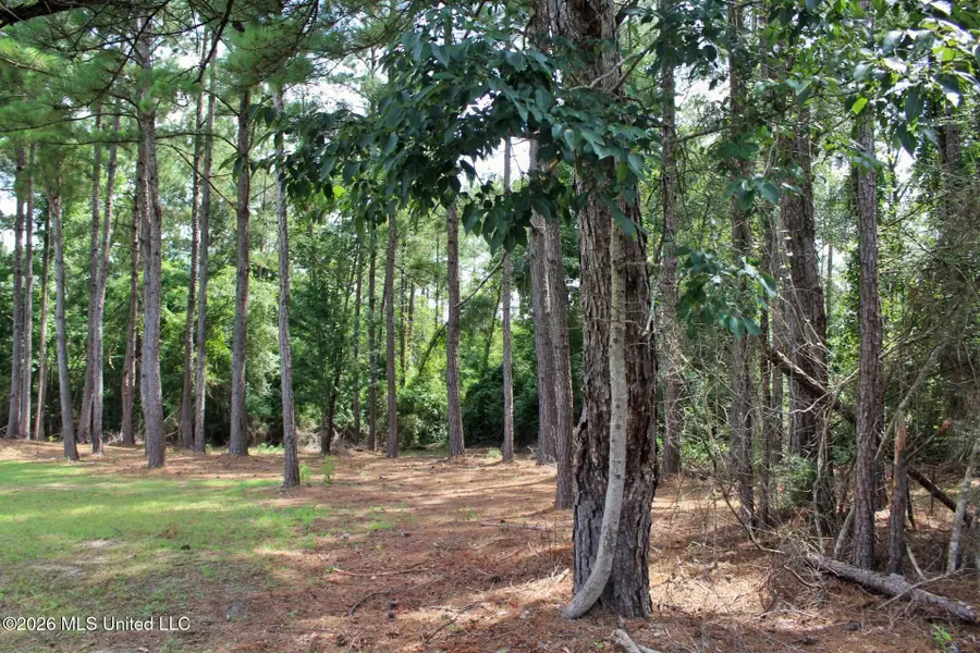 3.9ac Little Bluff Drive, Vancleave, MS 39565 - #3