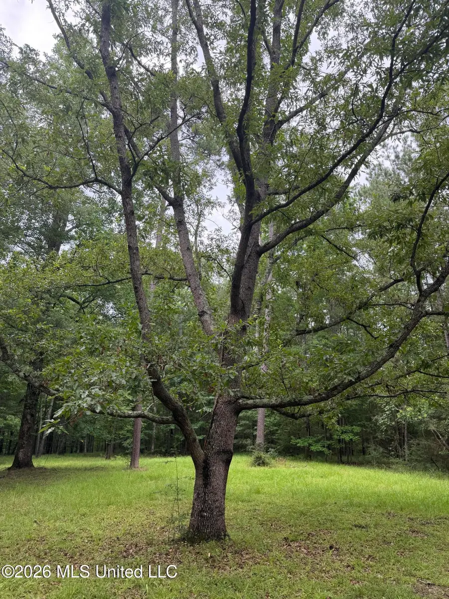 112 Lake Louise Drive, Florence, MS 39073 - #2