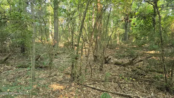 Carolina Street, Roxie, MS 39661