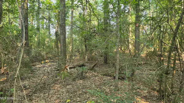 000 Alabama Street, Roxie, MS 39661