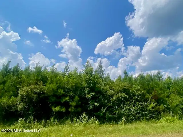 County Line Road, Summit, MS 39666 - #3