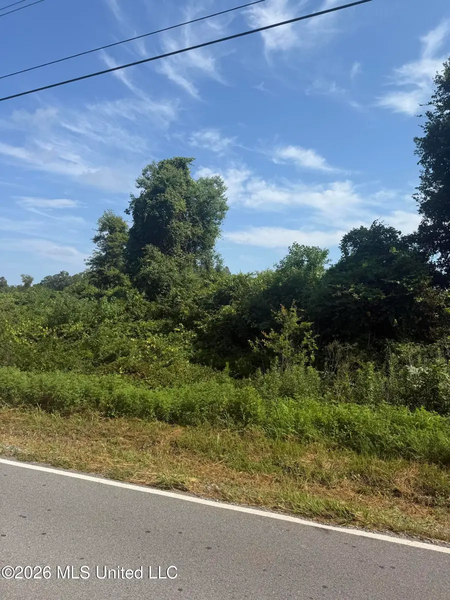 Davis Sawmill Road, Lucedale, MS 39452 - #3