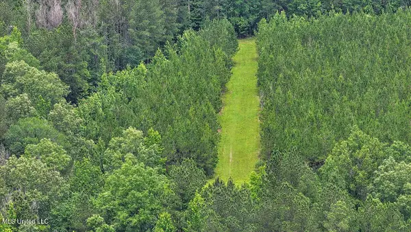 772 Mount Helm Road, Brandon, MS 39047