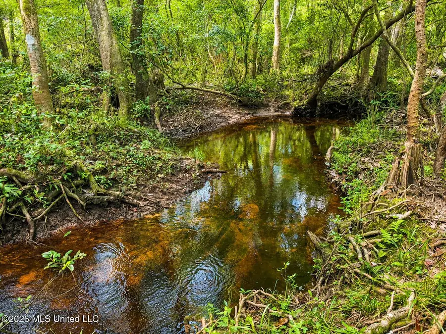 253a Dean Nursery Road, Lucedale, MS 39452 - #2