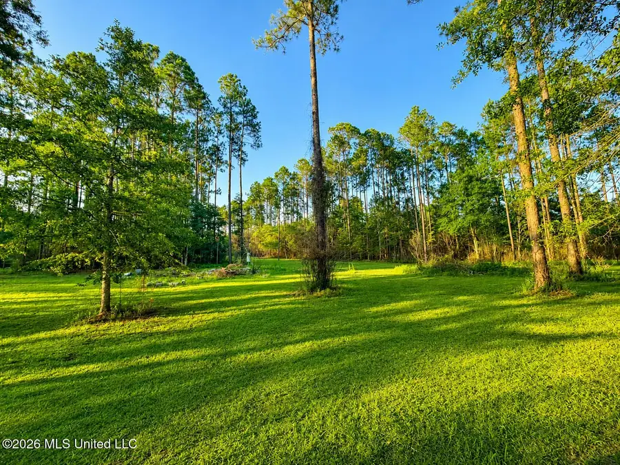 253a Dean Nursery Road, Lucedale, MS 39452 - #3