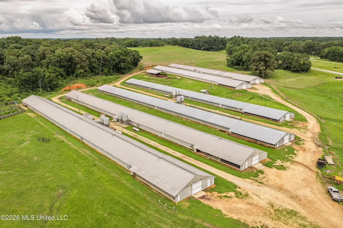112 Old Hwy 13, Lena, MS 39094 - #1