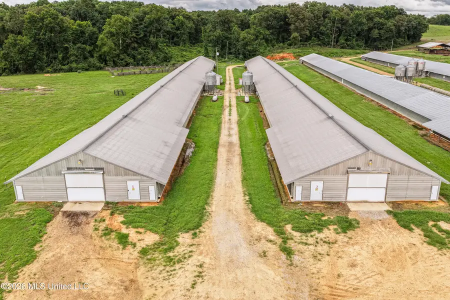 112 Old Hwy 13, Lena, MS 39094 - #2