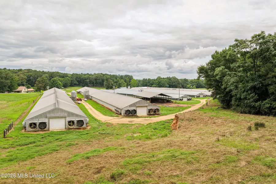 112 Old Hwy 13, Lena, MS 39094 - #3