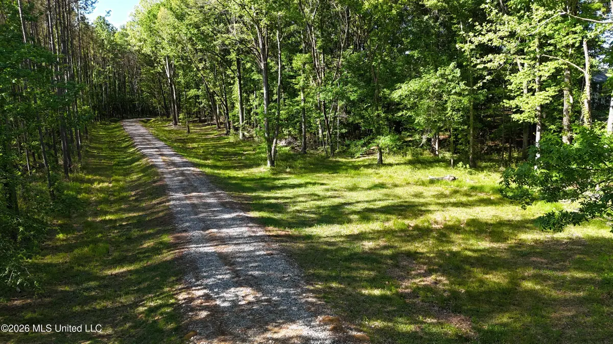 358 Robinson Springs Rd Road, Flora, MS 39071 - #1