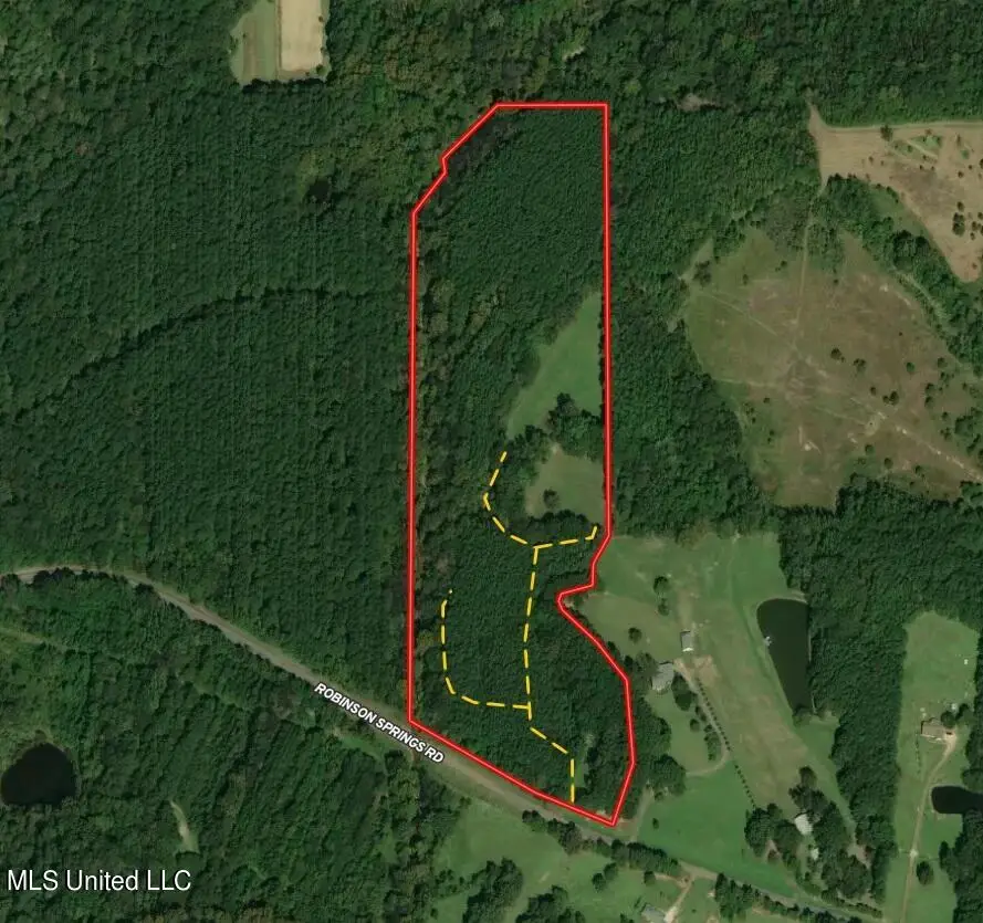358 Robinson Springs Rd Road, Flora, MS 39071 - #2