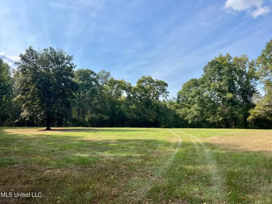 358 Robinson Springs Rd Road, Flora, MS 39071 - #3