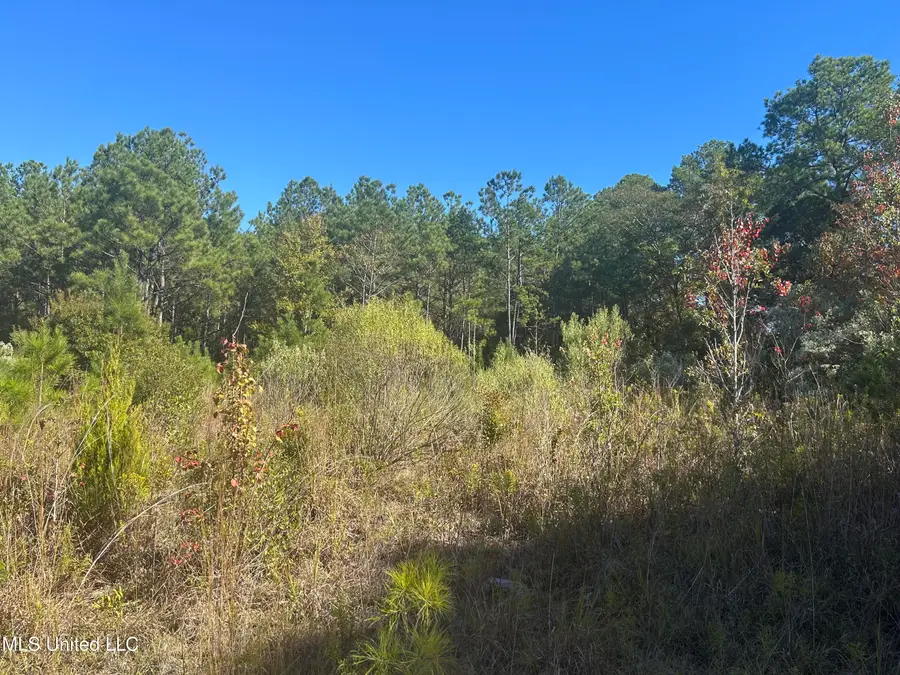 Tbd N Highway 80, Pearl, MS 39208 - #3