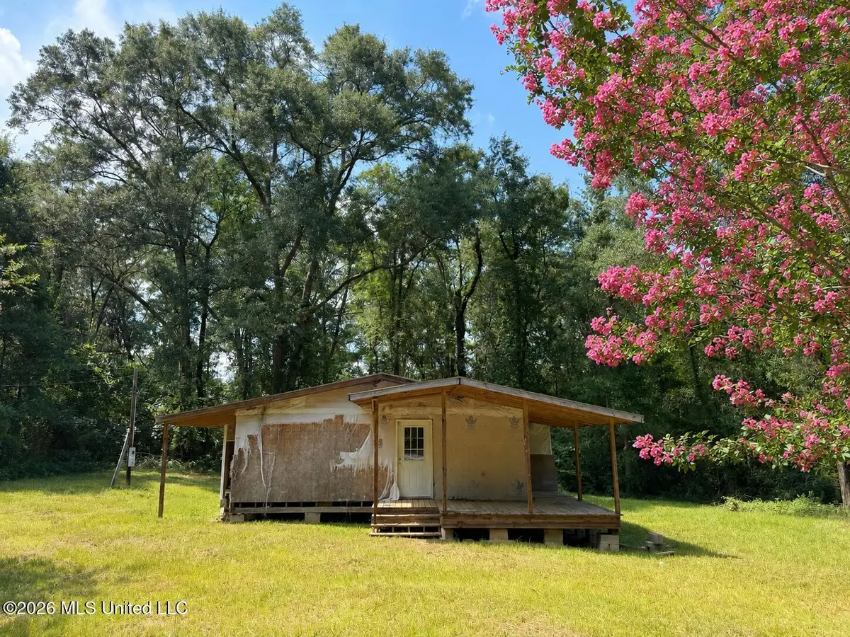 31 Emmett Meitzler Road, Picayune, MS 39466 - #1