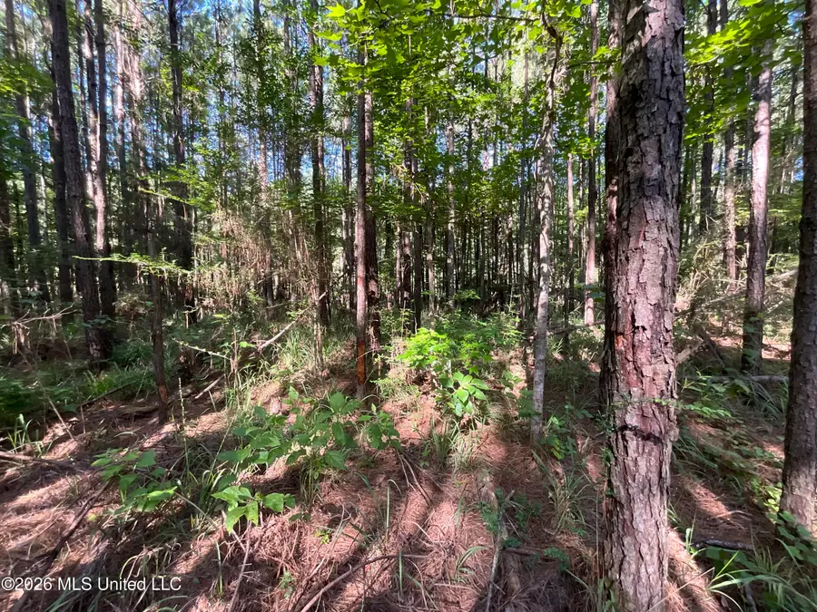 Tbd Fox Road, Gloster, MS 39638 - #3