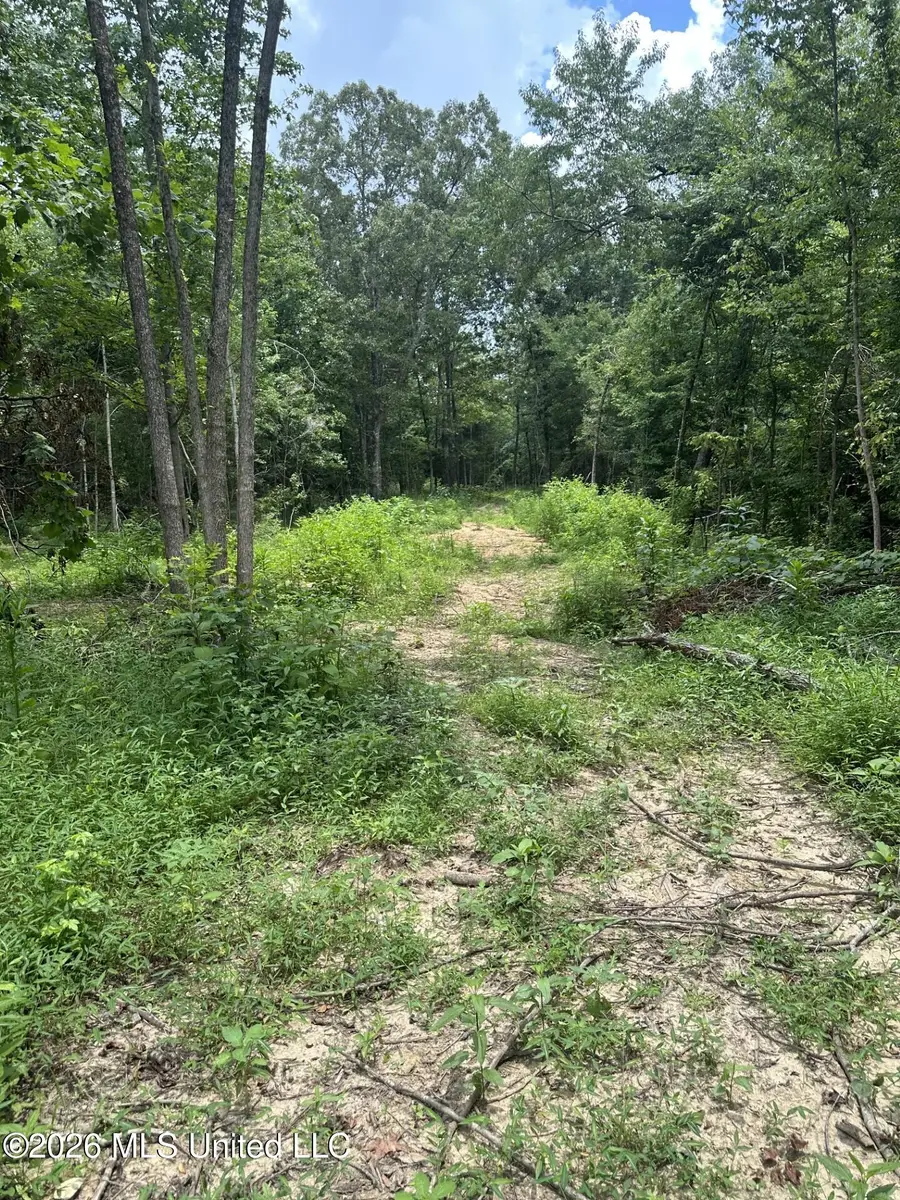 Gravel Springs Road, Senatobia, MS 38668 - #3