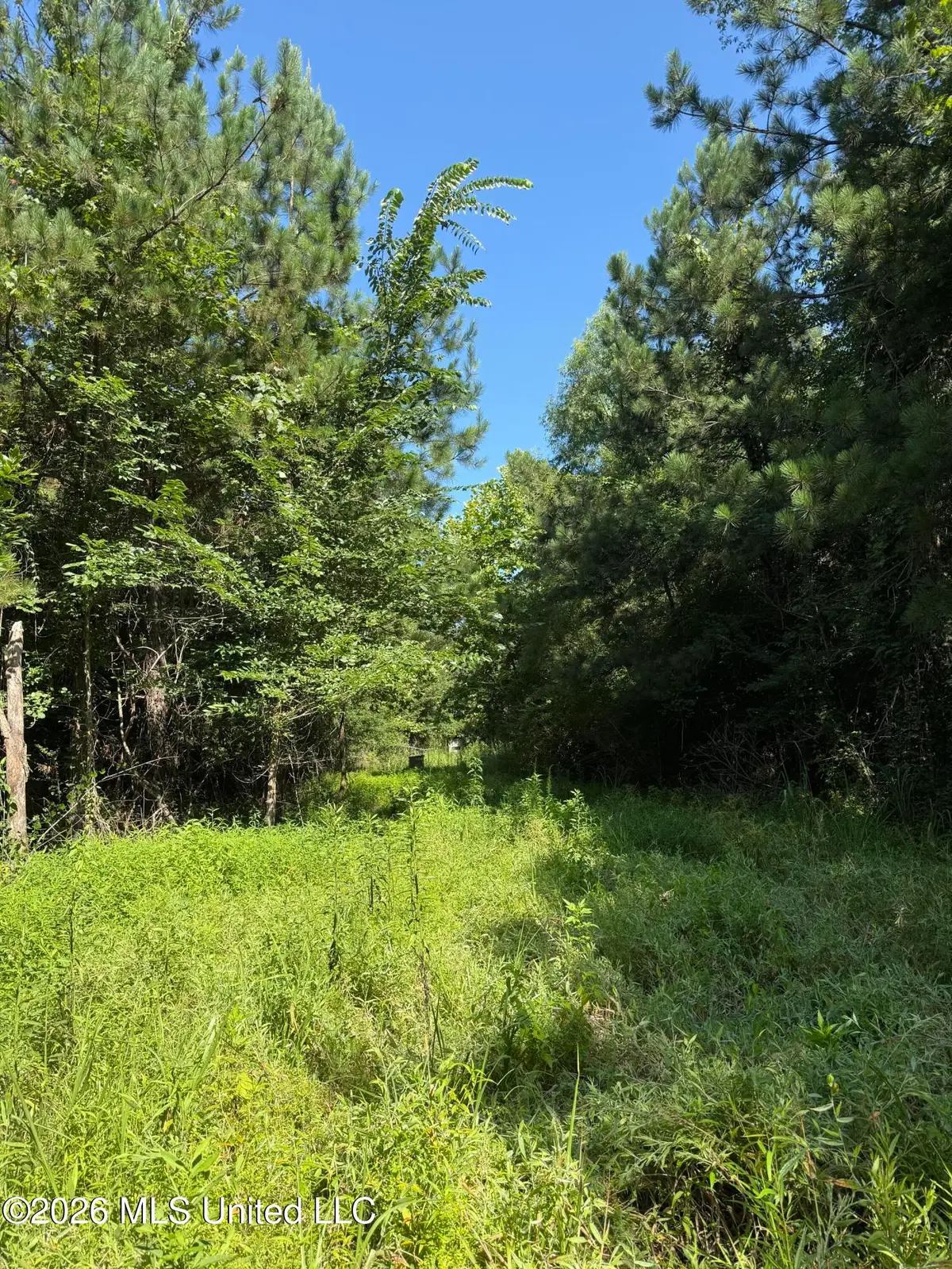 Winfry Road, Kilmichael, MS 39747 - #1