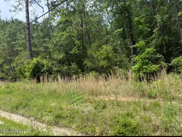 W Adams Street, Bay Saint Louis, MS 39520