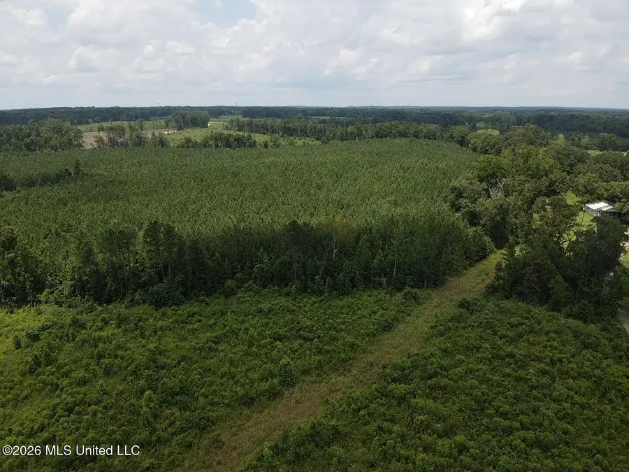 County Road 131b, Morton, MS 39117 - #2