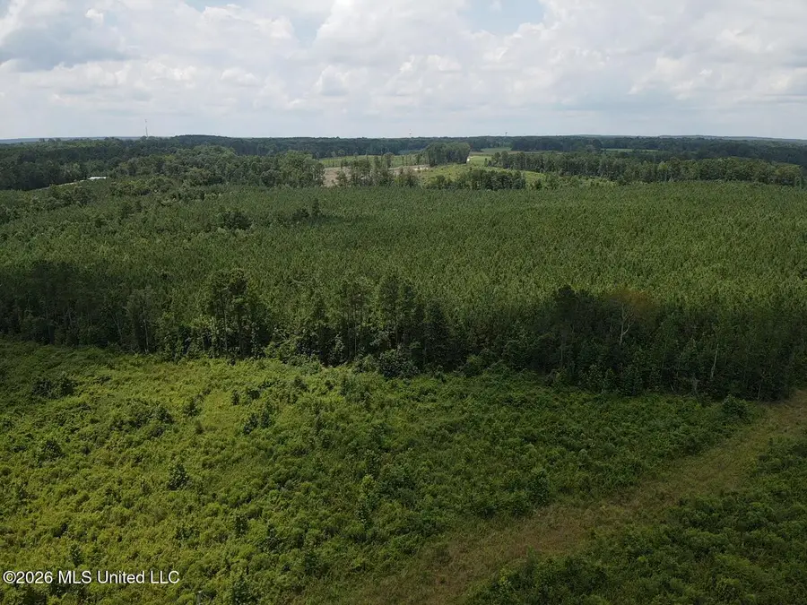 County Road 131b, Morton, MS 39117 - #3