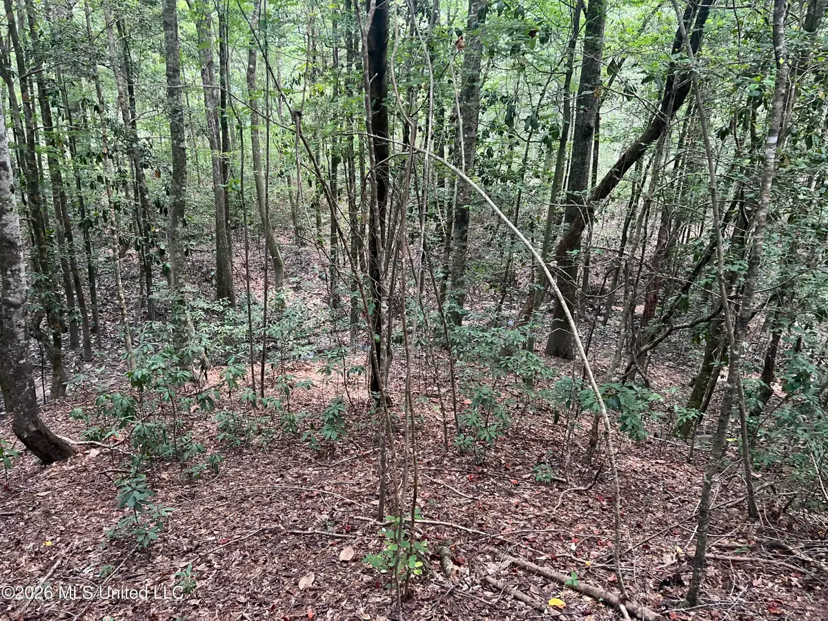 Mcdonald Road, Leakesville, MS 39451 - #1