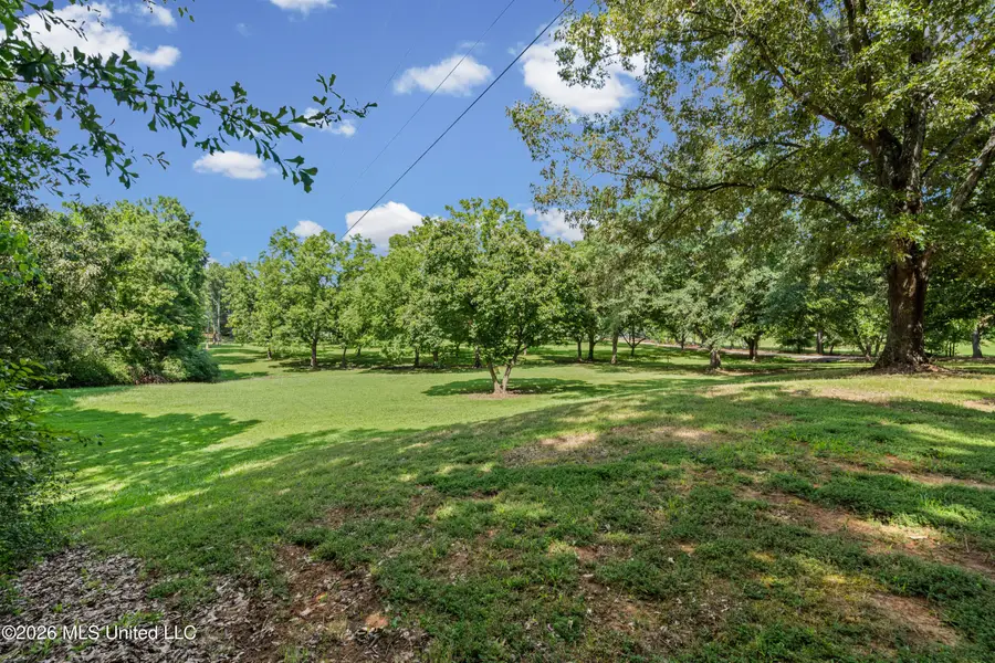 11255 Whispering Pines Drive, Olive Branch, MS 38654 - #3