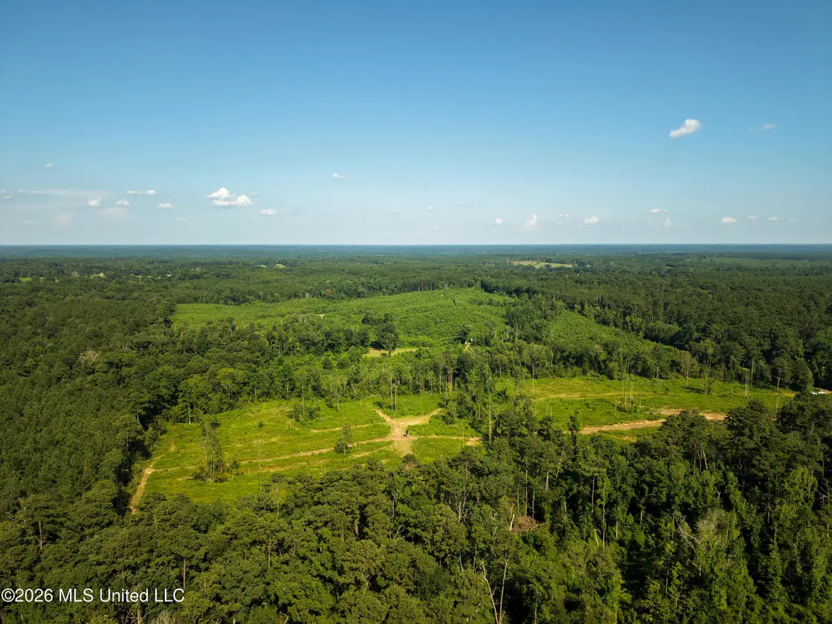 Lower Liberty Gloster Road, Liberty, MS 39645 - #1