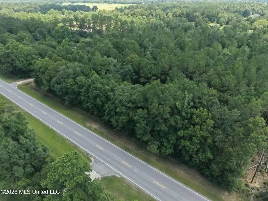 S Highway 43, Picayune, MS 39466 - #2