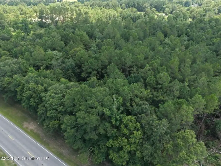 S Highway 43, Picayune, MS 39466 - #3