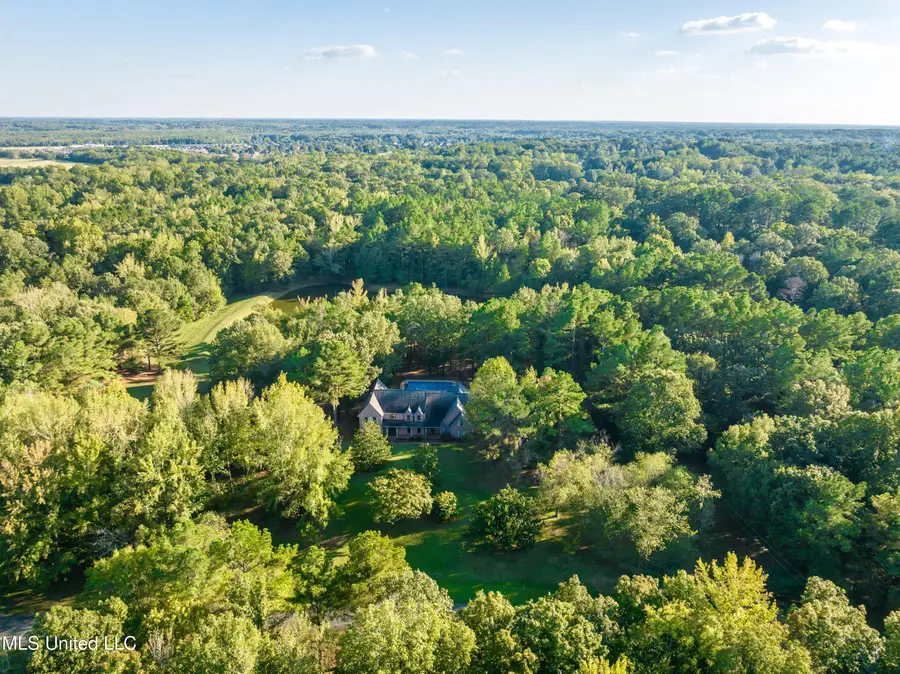12965 Whispering Pines Drive, Olive Branch, MS 38654 - #3