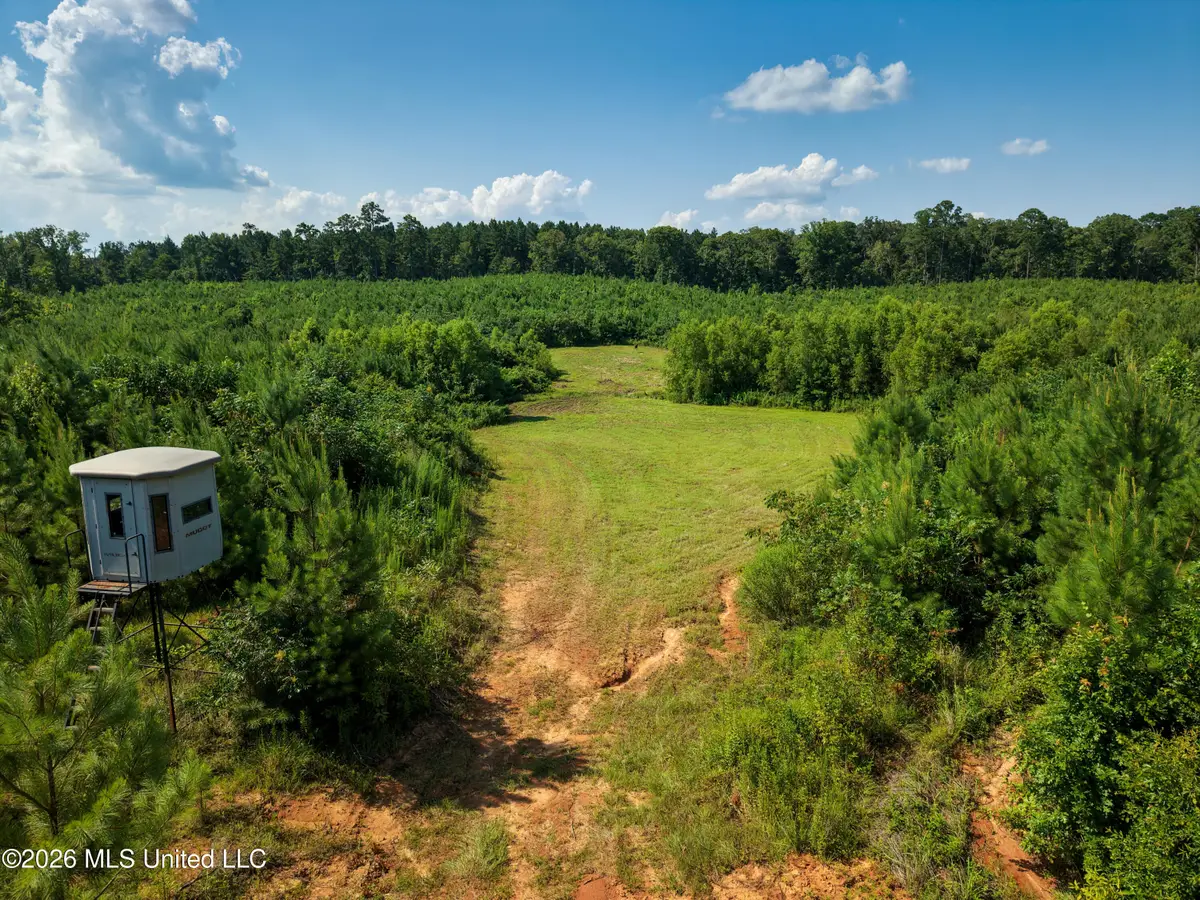 Lower Liberty Gloster Road, Liberty, MS 39645 - #1