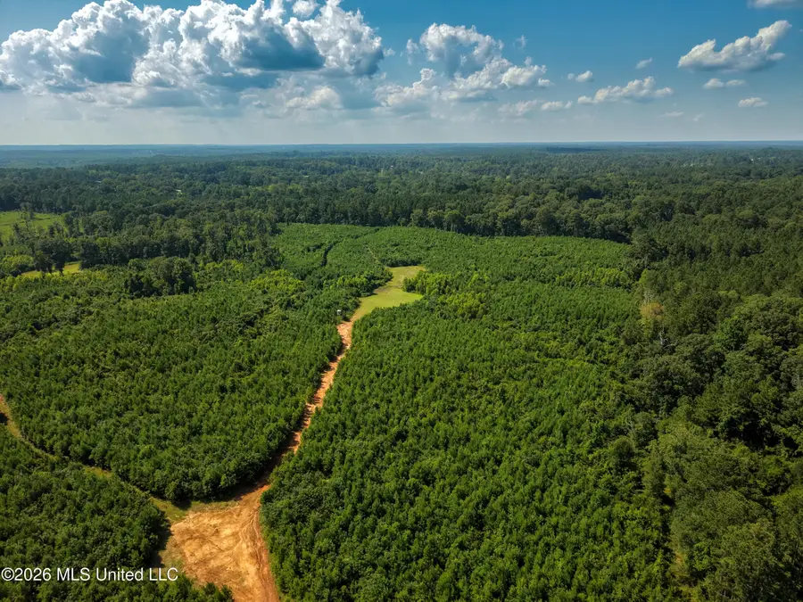 Lower Liberty Gloster Road, Liberty, MS 39645 - #3