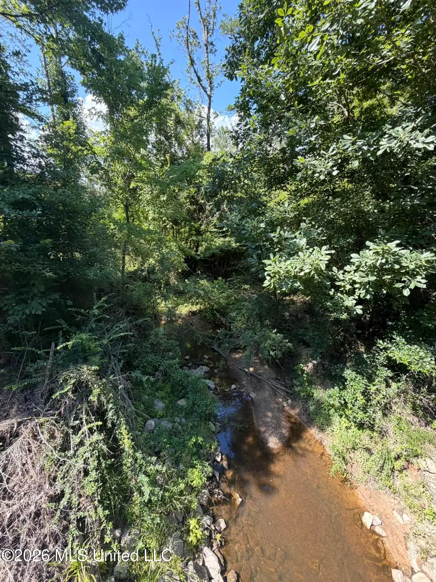 Lower Liberty Gloster Road, Liberty, MS 39645 - #3