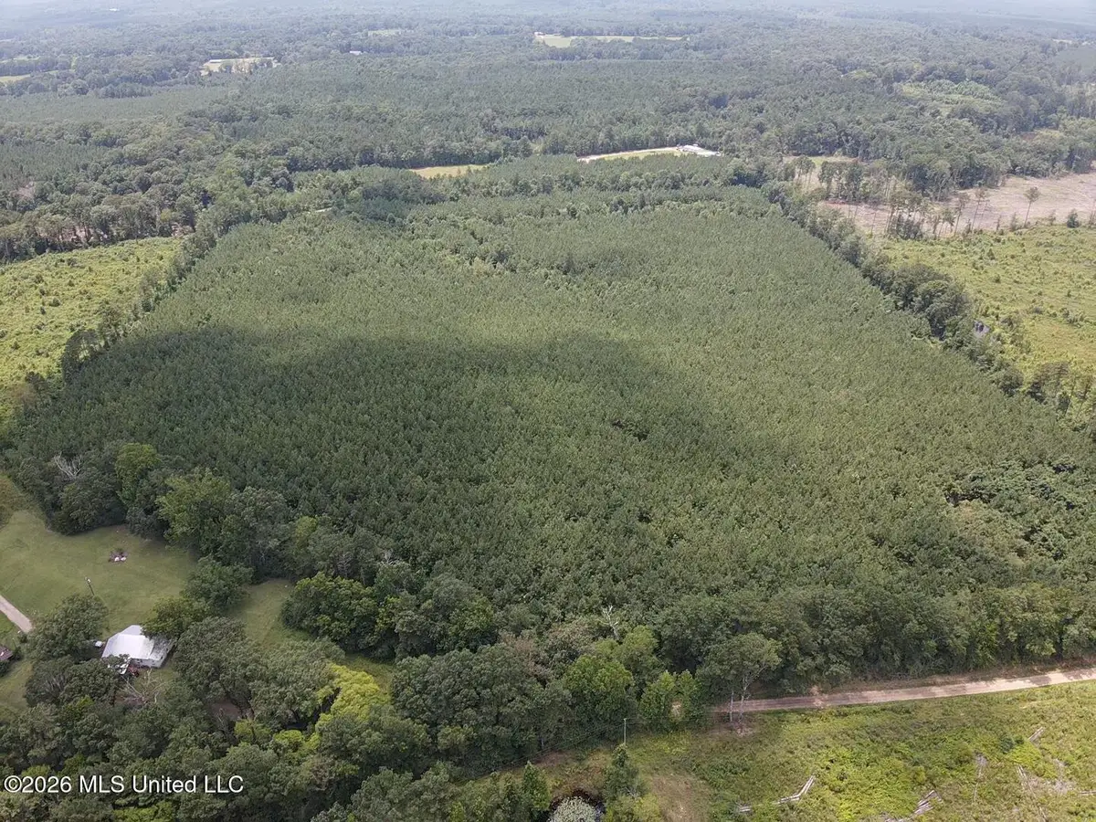 County Road 131b, Morton, MS 39117 - #1