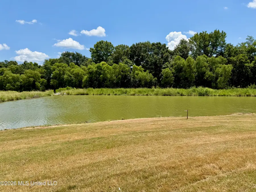404 Alta Vista, Madison, MS 39110 - #3