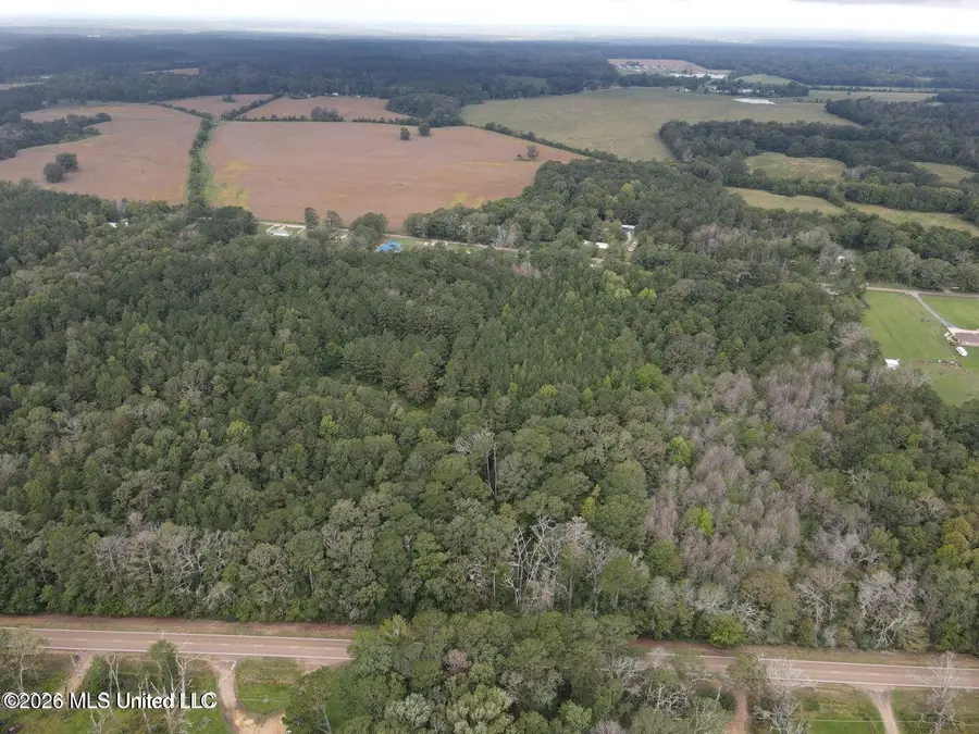 Mississippi 35, Forest, MS 39074 - #2