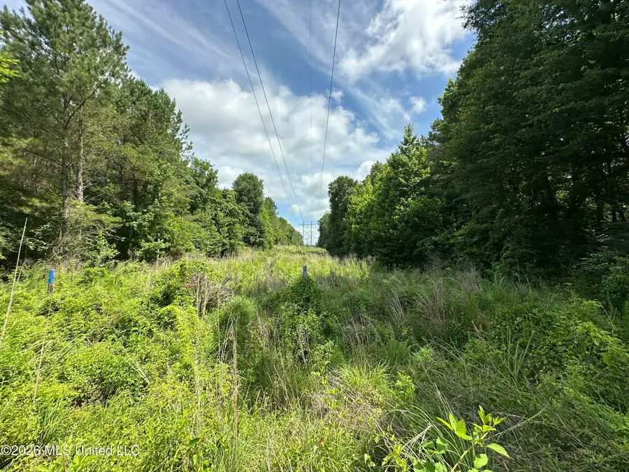 Rhymes Road, Crystal Springs, MS 39059 - #3
