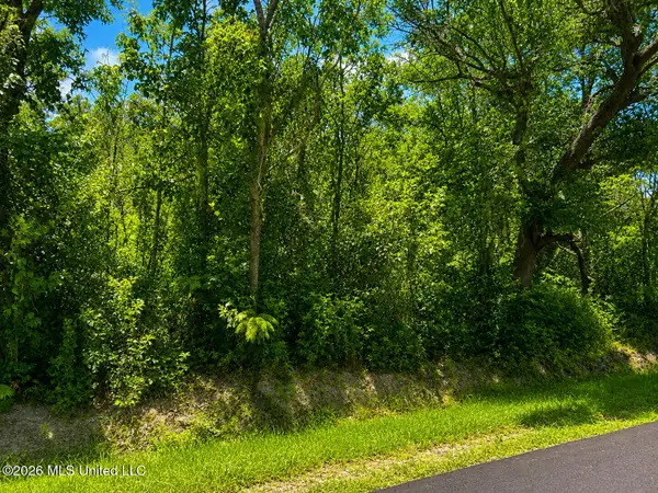 11011 Heron Street, Bay Saint Louis, MS 39520