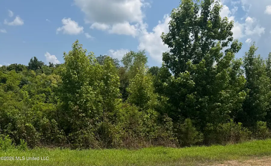 0 Kyle Road, Senatobia, MS 38668 - #2