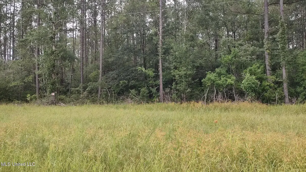 Mississippi 43 N, Picayune, MS 39466 - #1