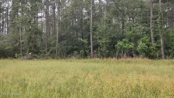 Mississippi 43 N, Picayune, MS 39466