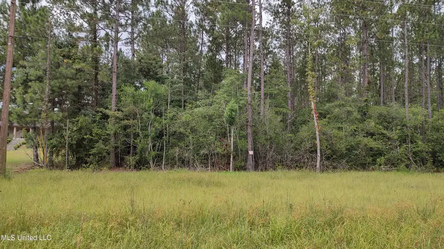 Mississippi 43 N, Picayune, MS 39466 - #2