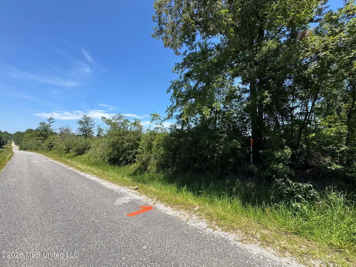 1 Dubose Road, Lumberton, MS 39455 - #1